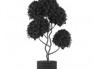 Plants collection 497 3Dモデル
