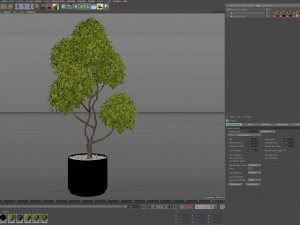 Plants collection 497 3Dモデル