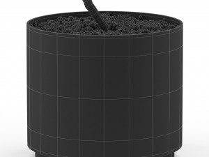 Plants collection 498 3D-Modell