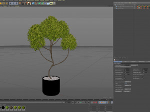 Plants collection 498 3D-Modell
