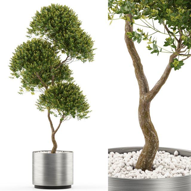 Plants collection 500 3D 模型 .c4d .max .obj .3ds .fbx .stl .blend 