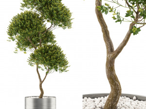 Plants collection 500 3D 模型