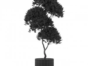 Plants collection 500 3D Model