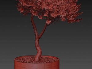 Plants collection 500 3D 模型