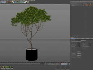 Plants collection 501 3D Model