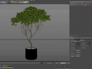 Plants collection 501 3D Model