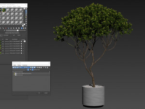 Plants collection 501 3D Model
