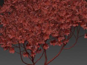 Plants collection 501 3D Model