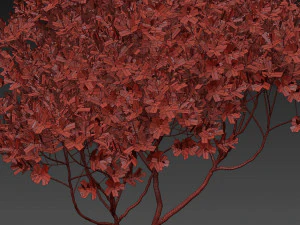 Plants collection 501 3D Model