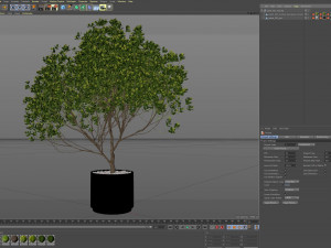 Plants collection 502 Modello 3D