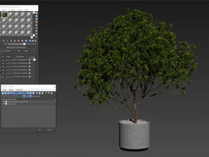 Plants collection 502 3D Model