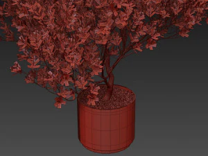 Plants collection 502 3D Model