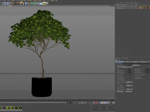 Plants collection 503 3D Model