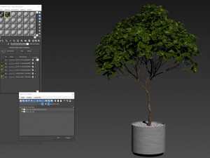 Plants collection 503 3D Model