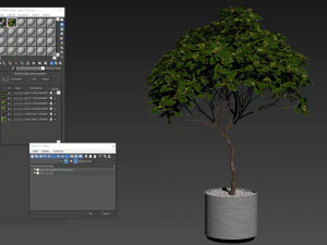 Plants collection 503 3D Model