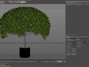 Plants collection 504 Modèle 3D