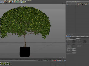 Plants collection 504 3D Model