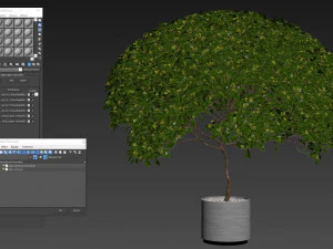 Plants collection 504 3D Model