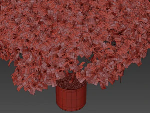 Plants collection 504 3D Model