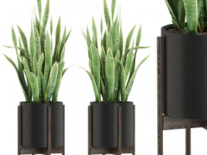 Pflanzensammlung 505 3D Modell