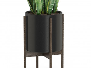 Plants collection 505 3D Modell