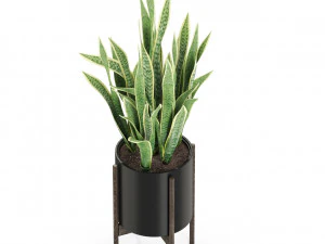 Plants collection 505 3D Model