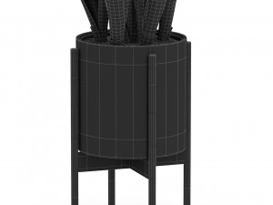 Plants collection 505 3D Modell