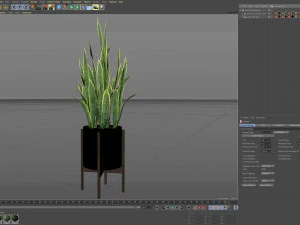 Plants collection 505 3D Model