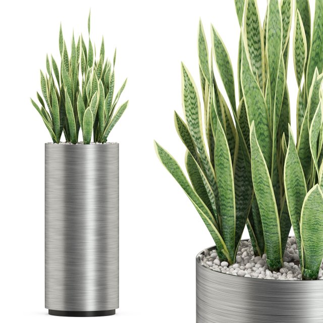 Plants collection 506 Model 3D .c4d .max .obj .3ds .fbx .stl .blend 