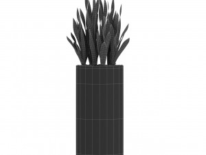 Plants collection 506 Model 3D