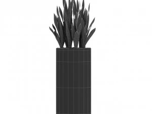 Plants collection 506 3D Model