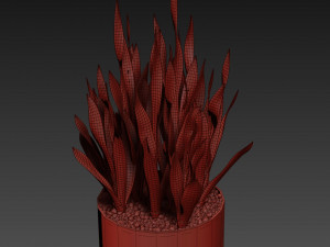 Plants collection 506 Model 3D