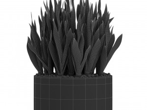 Plants collection 507 3D Model