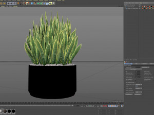 Plants collection 507 3D Model