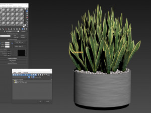 Plants collection 507 3D Model