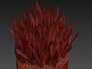 Plants collection 507 3D Model