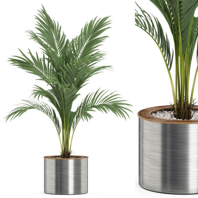 Plants collection 508 3D Модель .c4d .max .obj .3ds .fbx .stl .blend 