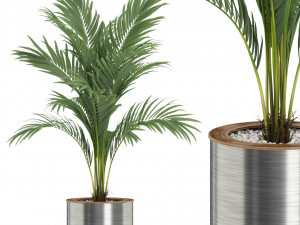 Plants collection 508 3D Model