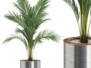 Pflanzensammlung 508 3D Modell