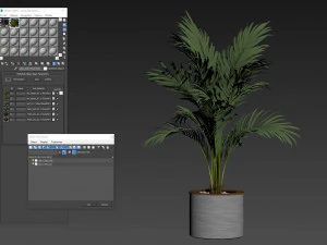 Plants collection 508 3D Model