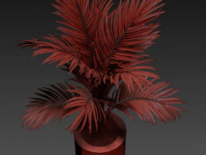 Plants collection 508 3D Model