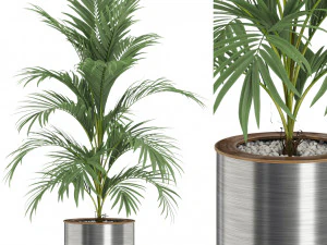 पौधों का संग्रह 509 3D मॉडल