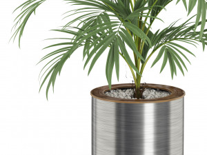 Plants collection 509 3D Model
