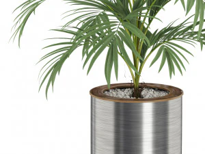 Plants collection 509 3D Model