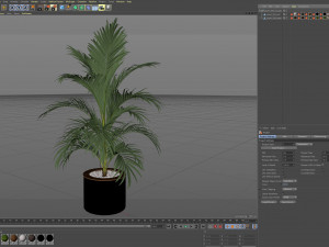 Plants collection 509 3D Model