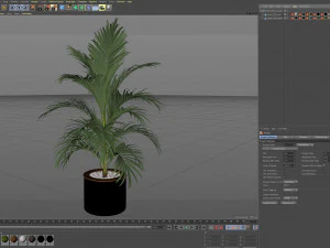 Plants collection 509 3D Model