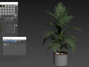 Plants collection 509 3D Model