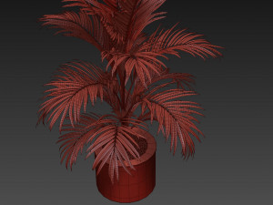 Plants collection 509 3D Model