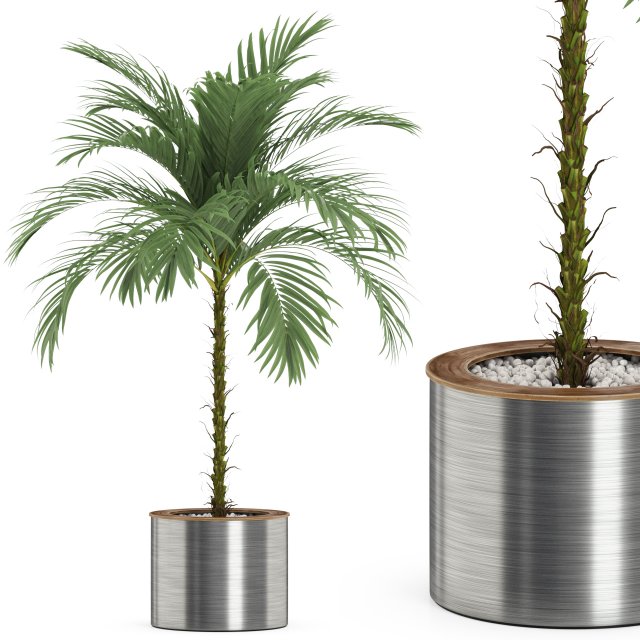 Plants collection 510 3Dモデル .c4d .max .obj .3ds .fbx .stl .blend 