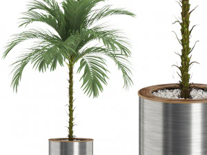 植物コレクション 510 3Dモデル